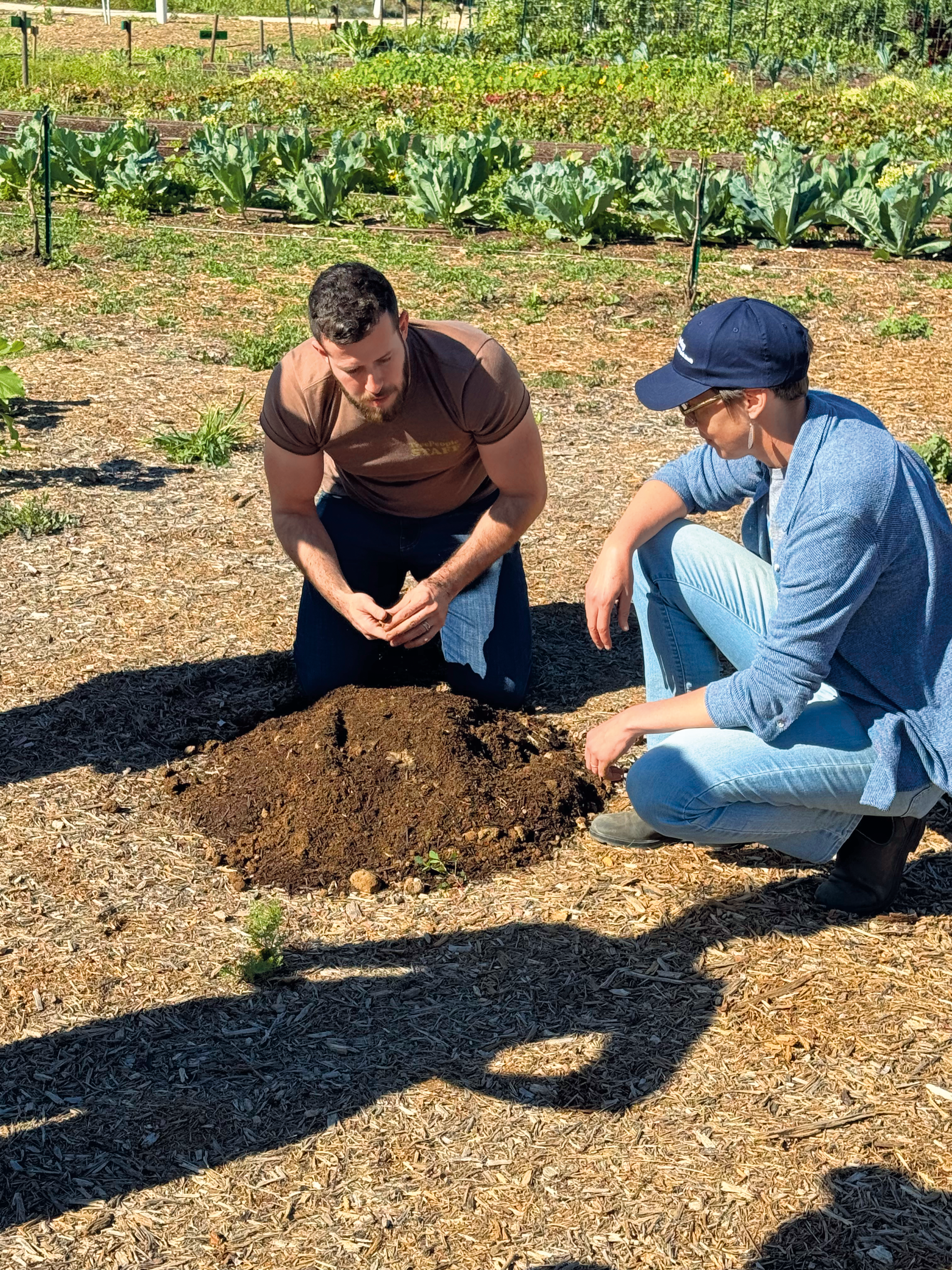 soil testing