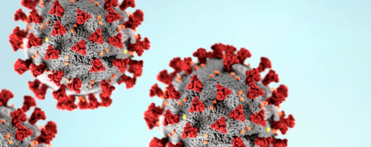 COVID-19 virus close-up
