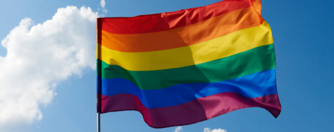 LGBTQ flag waving