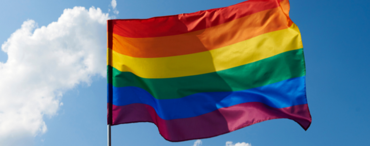 LGBTQ flag waving