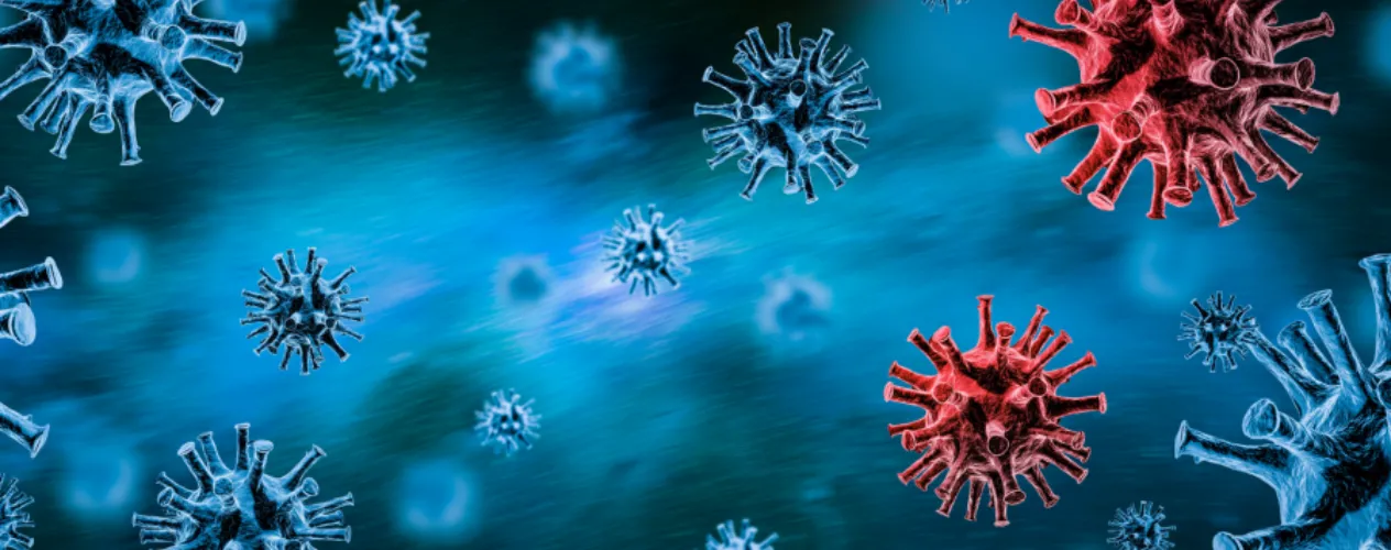 Close-up of virus