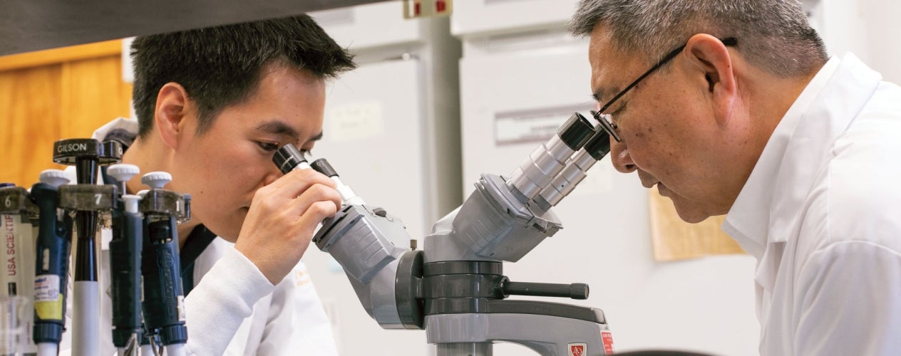 Student looking through microscope