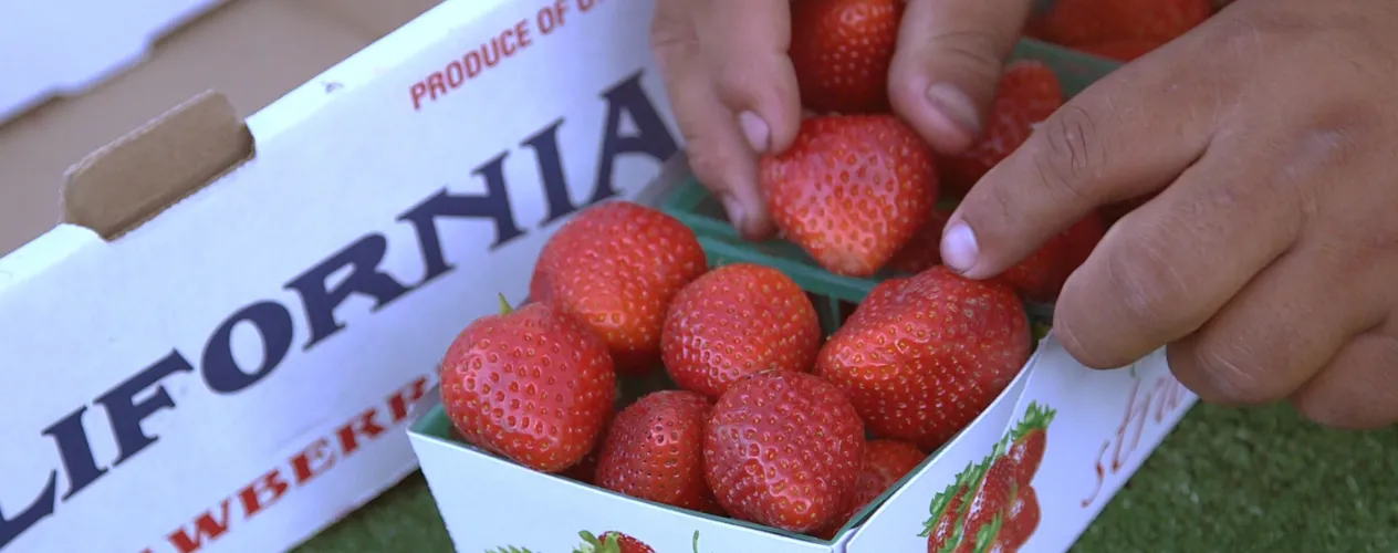 strawberries