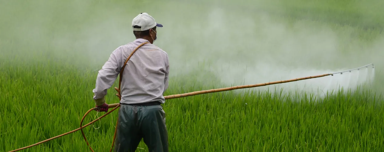 person spraying pesticides into grass