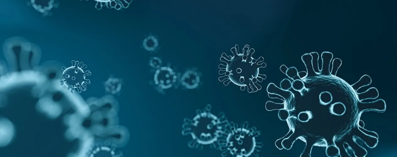 close-up of virus