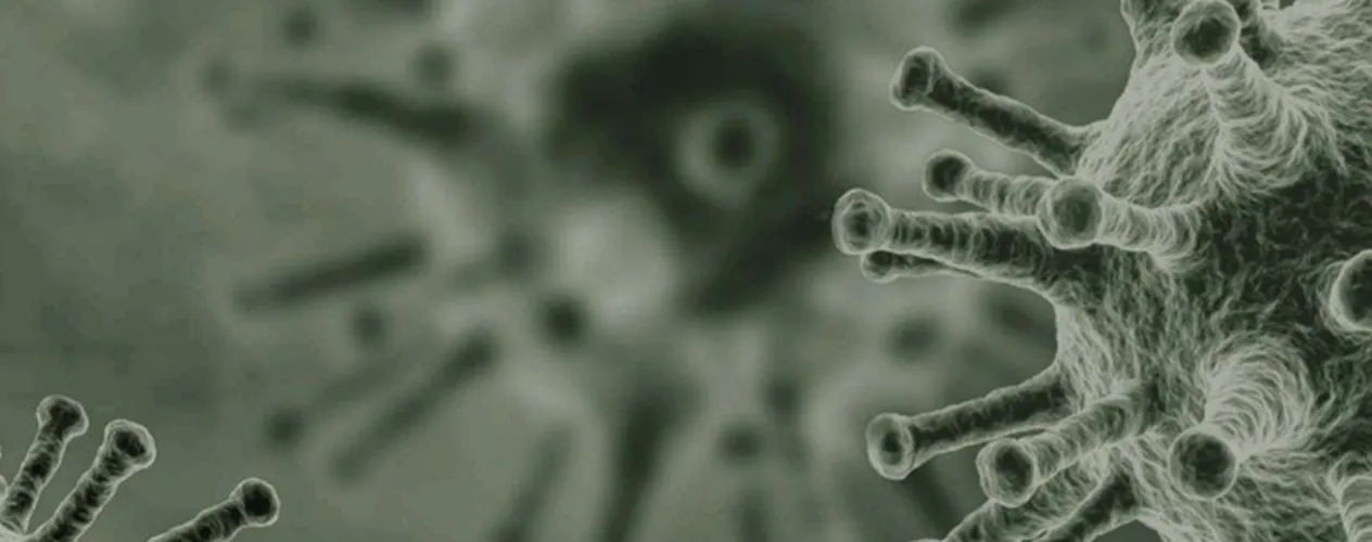close-up of virus