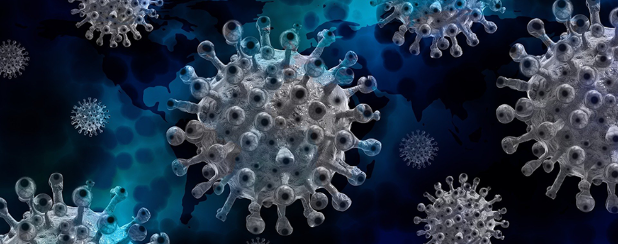 close-up of virus