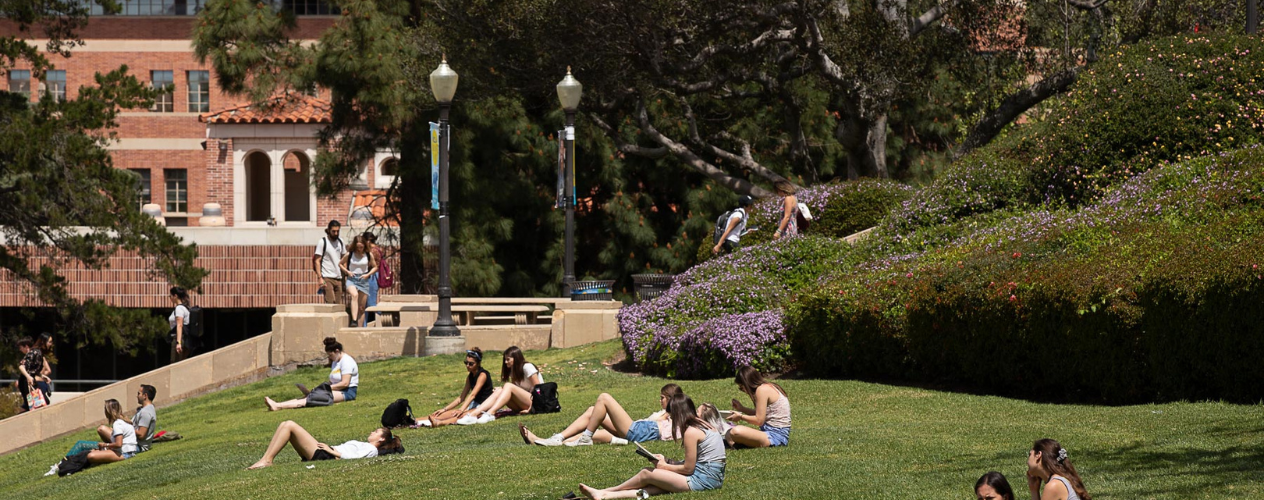 janss steps ucla