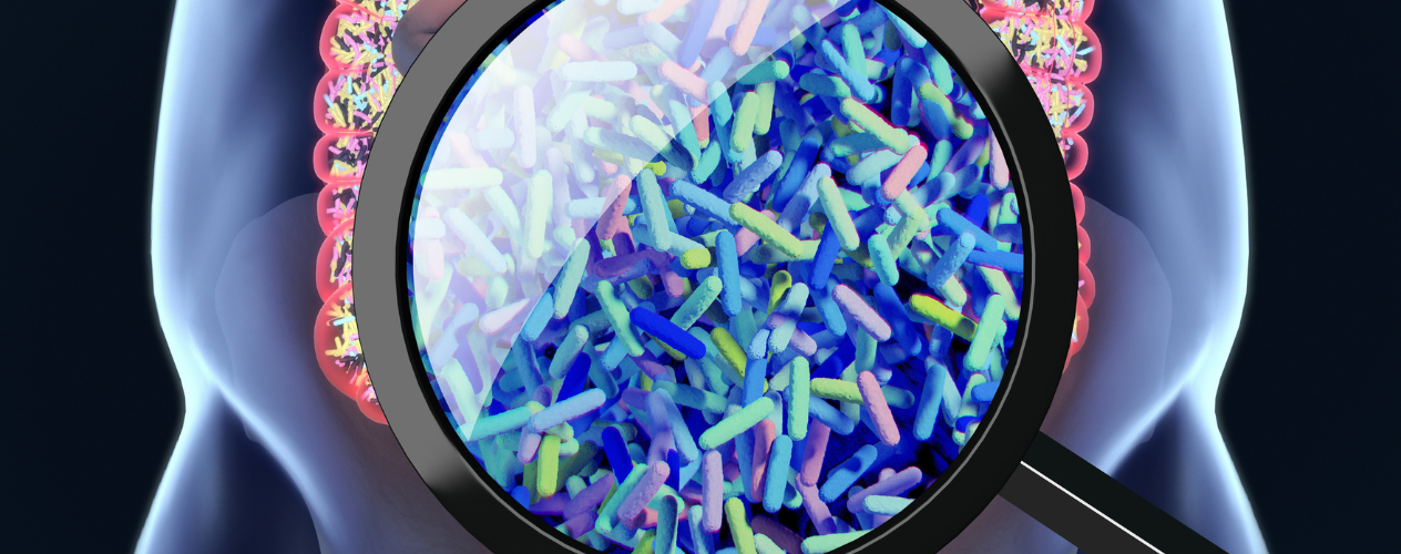 zoom-in on gut microbiome