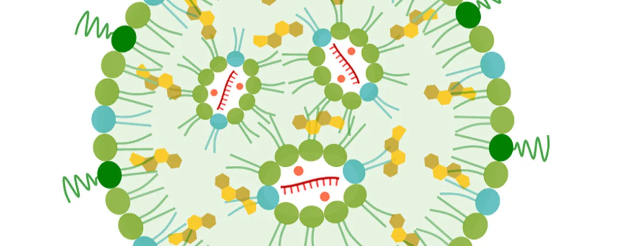 André Nel study ACS Nano cancer liver
