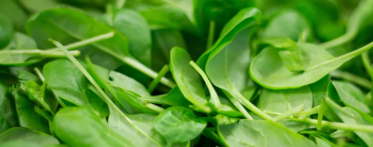Spinach and diet
