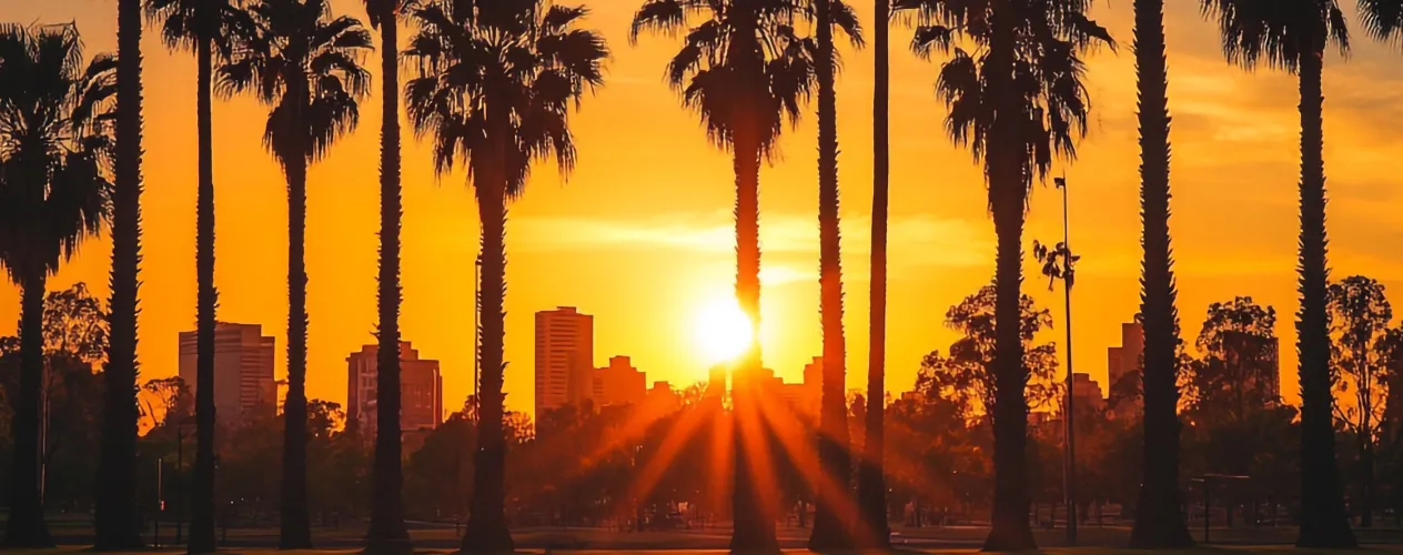 Bustamante_LAT_1264x500