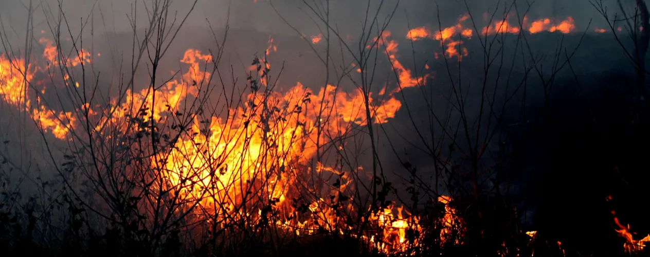 NPR (KPCC-FM) reported on the UCLA Center for Health Policy Research's latest findings on mental health in the aftermath of wildfires, quoting scholar Todd Hughes, director of the California Health Interview Survey.