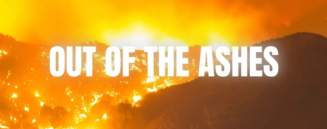 After the Los Angeles County wildfires, UCLA leads the fight for a safer future 