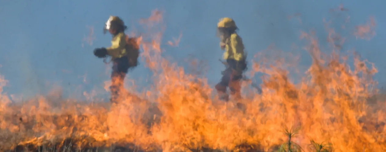 NPR | "Study: firefighters recognize long-term health risks, but have questions about possible wildland respirator"