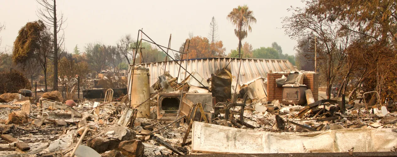 NPR | "Tracking the toxic fallout of the LA fires"