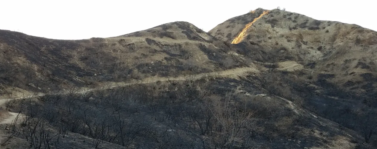 "Expert warns of eerie similarity to Palisades fire aftermath and devastating 9/11 sickness” 