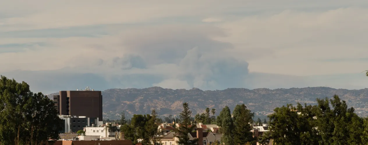 Associated Press | "Study ties particle pollution from wildfire smoke to 24,100 US deaths per year"