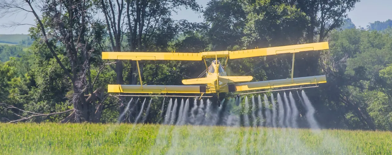 New York Times | "How to reduce your exposure to pesticides"