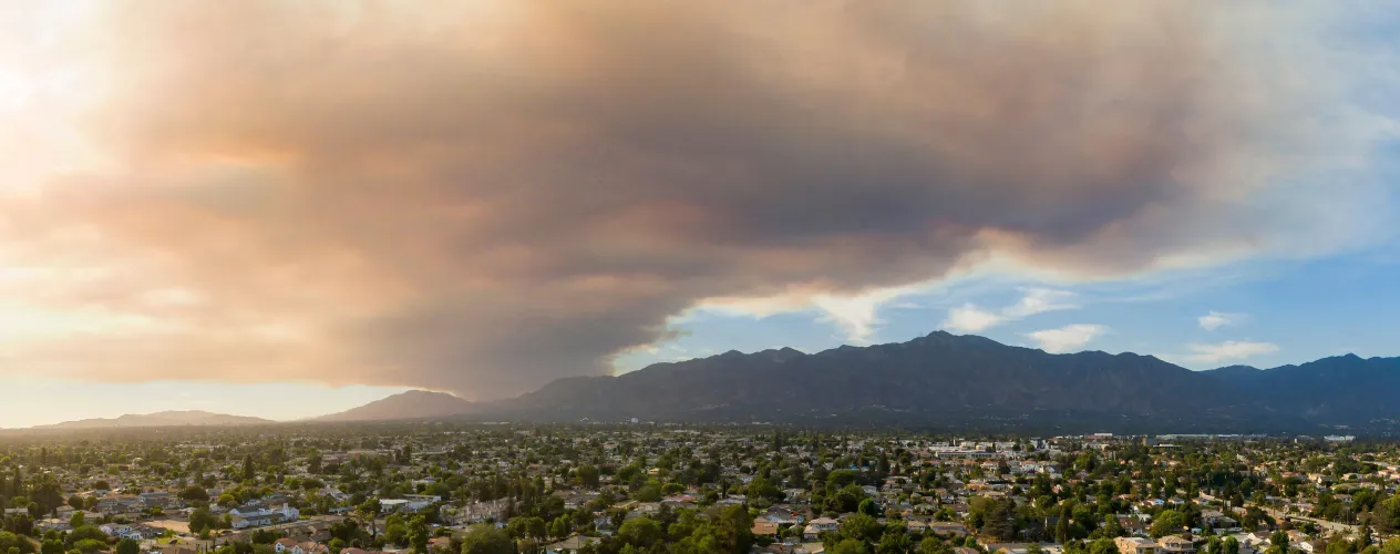 New York Times | "What the newest research on wildfire smoke tells us”