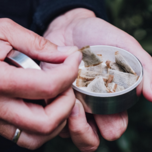 Close-up of hands holding tobacco