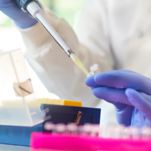 Scientist using a pipette