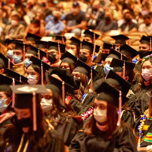 Graduating students in caps and gowns