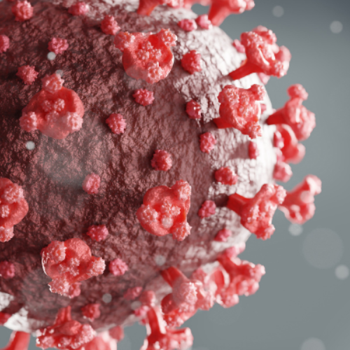 Close-up of COVID-19 virus