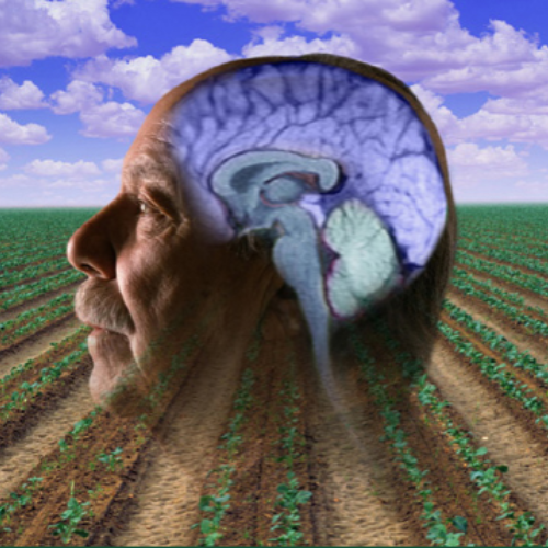 head with see-through brain superimposed onto crop field