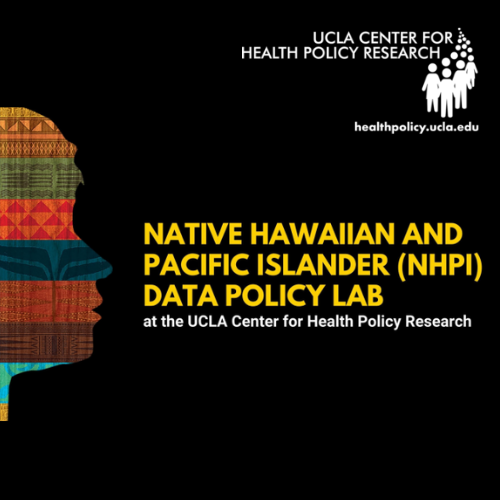 Native Hawaiian and Pacific Islander Data Policy Lab