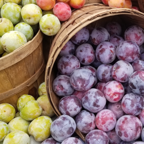 baskets of fruit