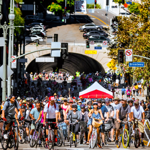 cyclists