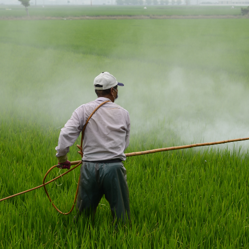 person spraying pesticides into grass