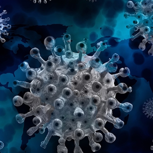 close-up of virus