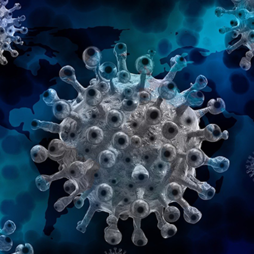 close-up of virus