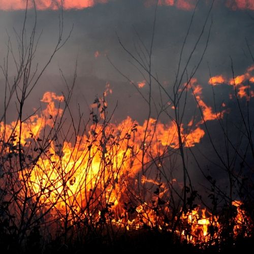 NPR (KPCC-FM) reported on the UCLA Center for Health Policy Research's latest findings on mental health in the aftermath of wildfires.