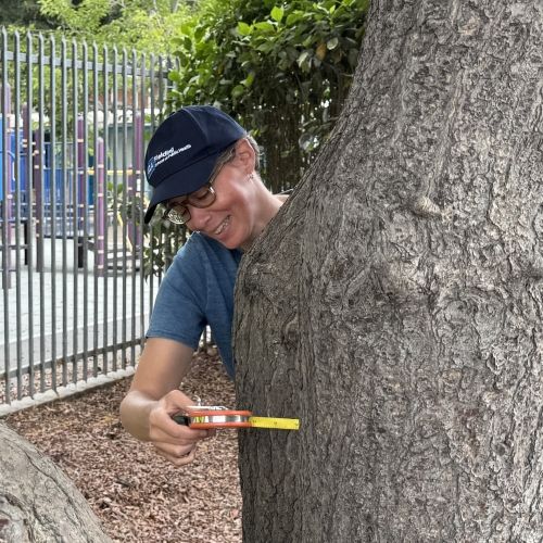 Los Angeles Times | "Most of California’s public K-12 students go to school on campuses with virtually no shade"