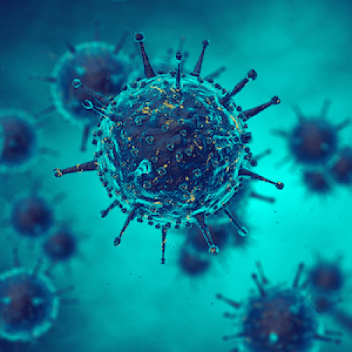 UCLA Fielding faculty drive improved methods to research spread of infectious viral diseases