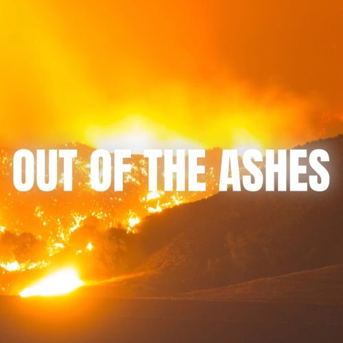 After the Los Angeles County wildfires, UCLA leads the fight for a safer future 