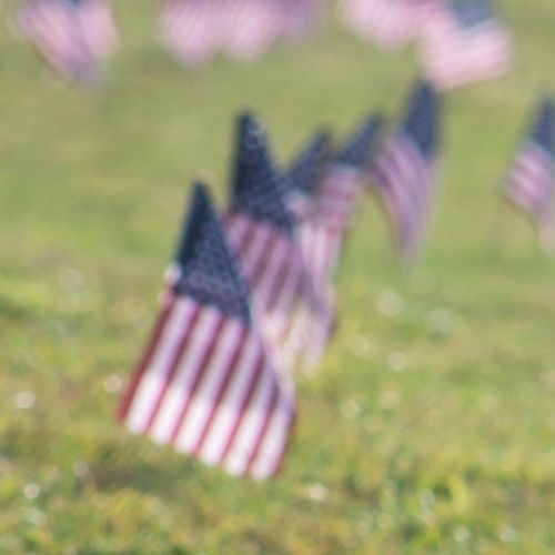 Research into veterans’ health issues by UCLA Fielding faculty, students, and alumni cover wide range of illnesses, patients, and treatment strategies