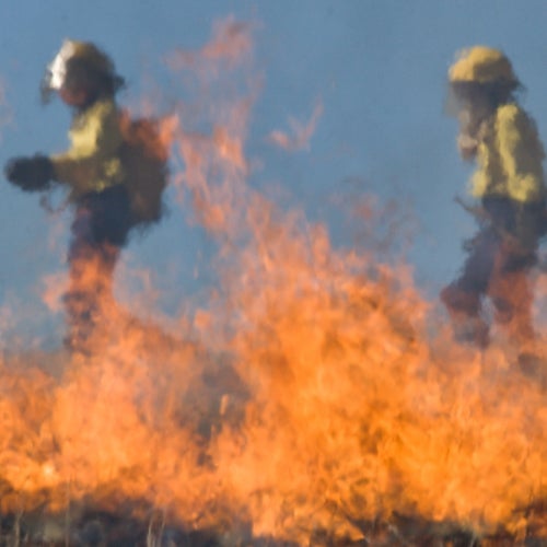 UCLA Fielding School of Public Health research finds wildland firefighters open to use of respirators