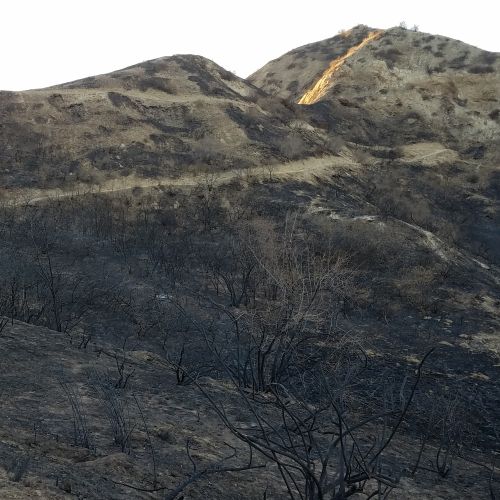 "Expert warns of eerie similarity to Palisades fire aftermath and devastating 9/11 sickness” 