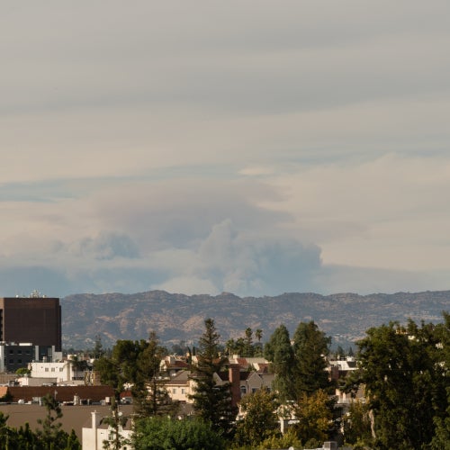 Associated Press | "Study ties particle pollution from wildfire smoke to 24,100 US deaths per year"