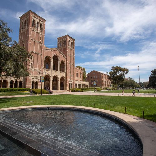 UCLA Fielding professor elected as senior leader with UCLA Academic Senate
