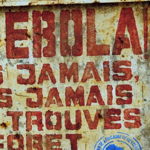 NPR | "An old vaccine may provide some hope for stopping the spread of ebola"