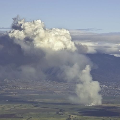 Associated Press | "Residents near Maui wildfires show elevated metals linked to impacted lung health, study says" 