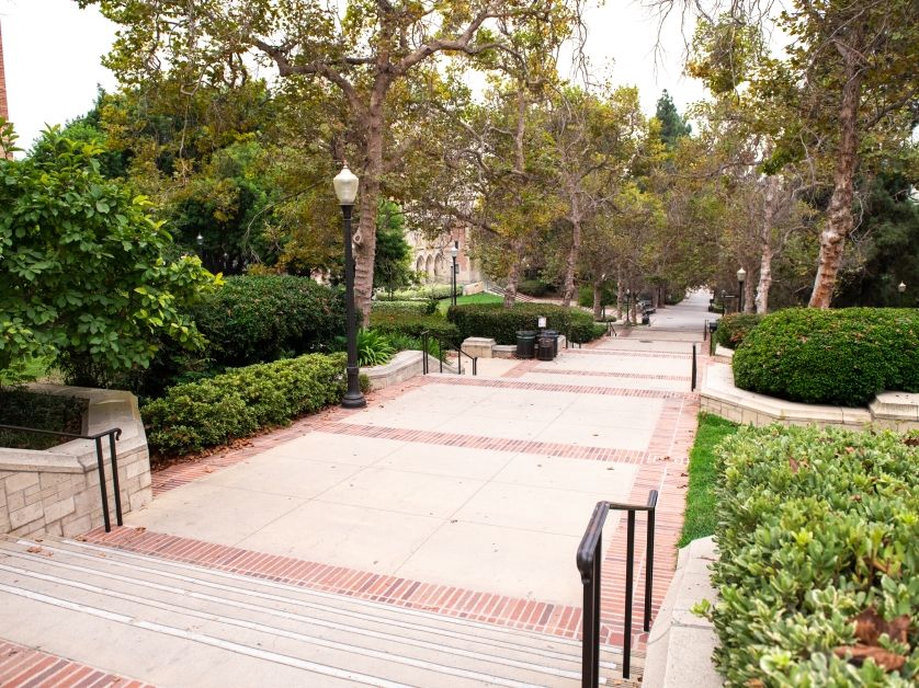 ucla walkway