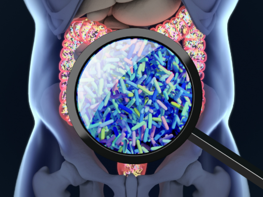 zoom-in on gut microbiome