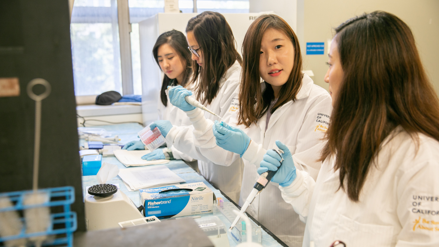 students working in lab