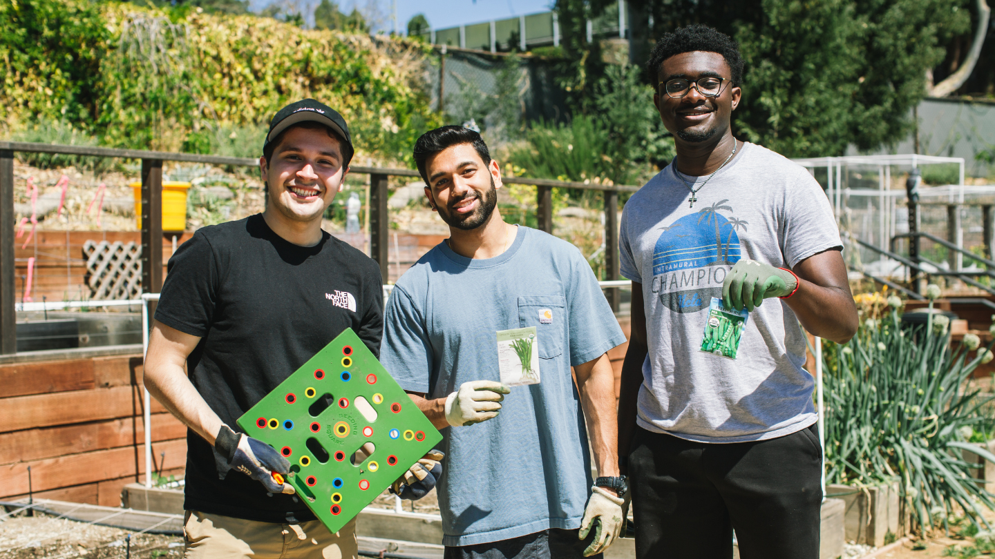 students standing in garden